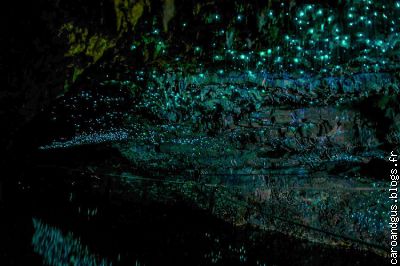 Les glow worms